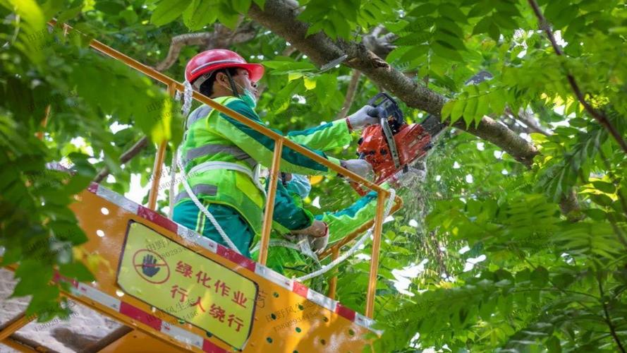 麦冬绿化工程造价 麦冬绿化工程造价