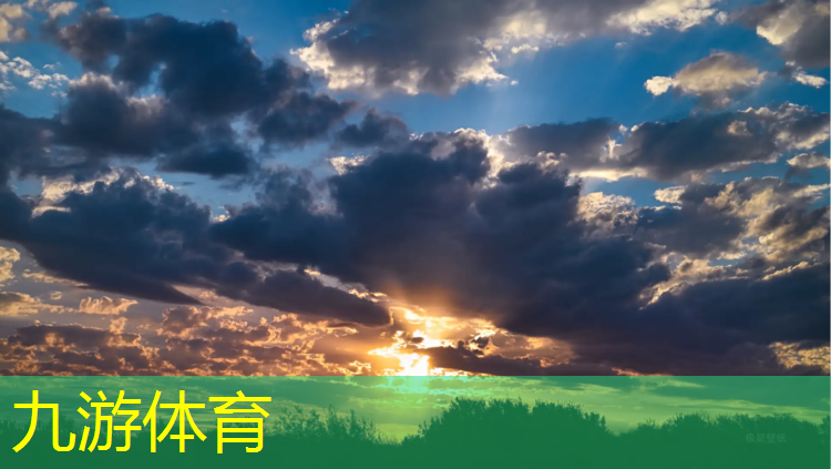 杨浦区绿化工程项目